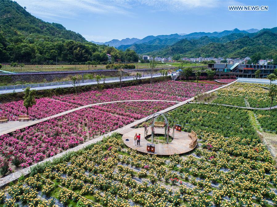 CHINA-ZHEJIANG-HANGZHOU-ROSE GARDEN (CN)