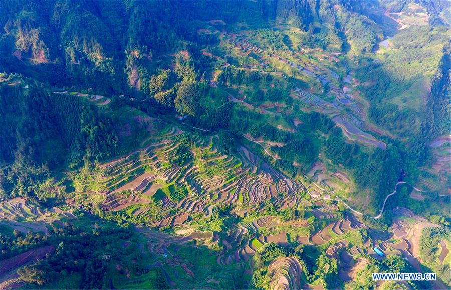 CHINA-GUANGXI-RONGSHUI-TERRACED FIELDS (CN)