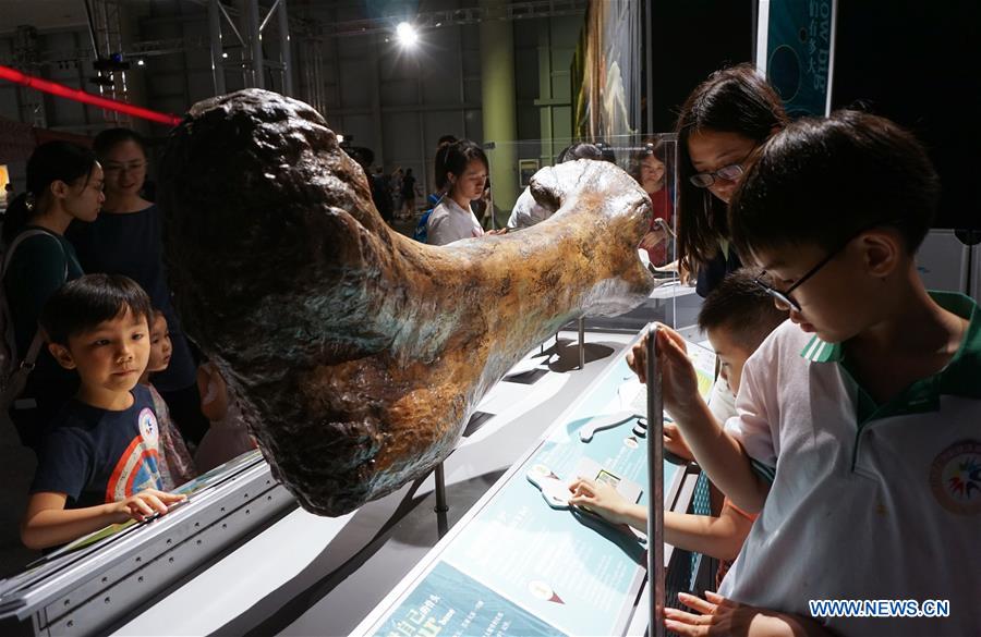 CHINA-GUANGDONG-SCIENCE-DINOSAUR-EXHIBITION (CN)