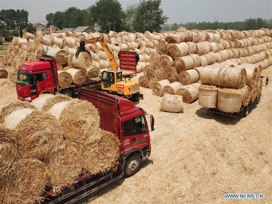 #CHINA-SUMMER-FARM WORK (CN)