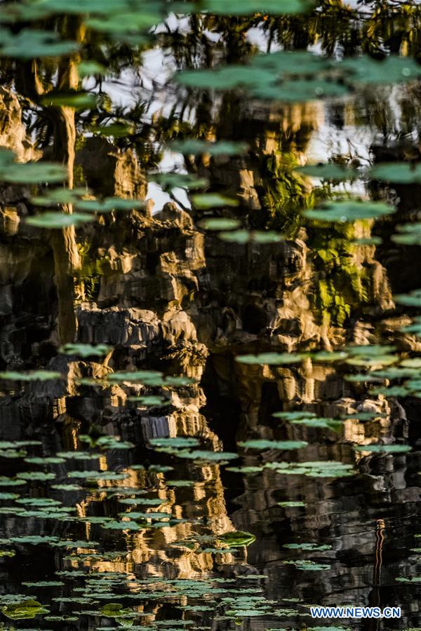 CHINA-SUZHOU-GARDEN-SCENERY (CN)