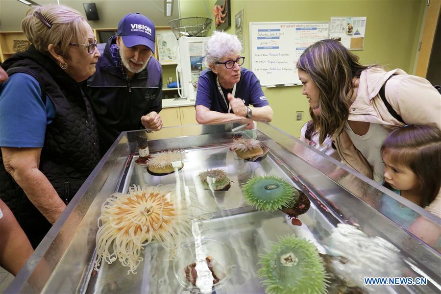 CANADA-VANCOUVER-AQUARIUM-WORLD OCEANS DAY