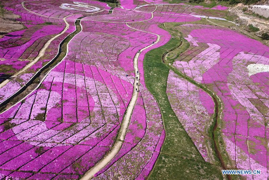 (EcoChina) CHINA-BEIJING-HORTICULTURAL EXPO-ANHUI (CN)