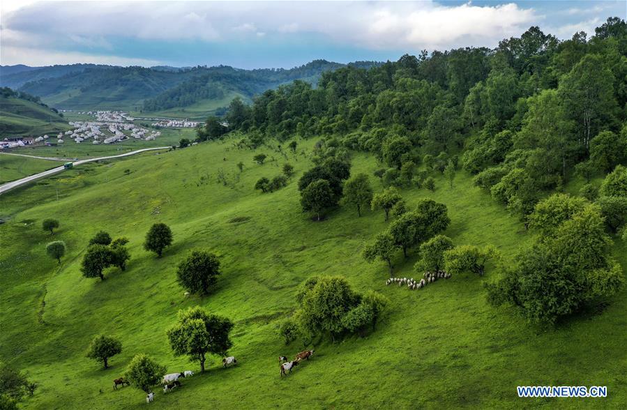 CHINA-SHAANXI-BAOJI-GUANSHAN GRASSLAND (CN)