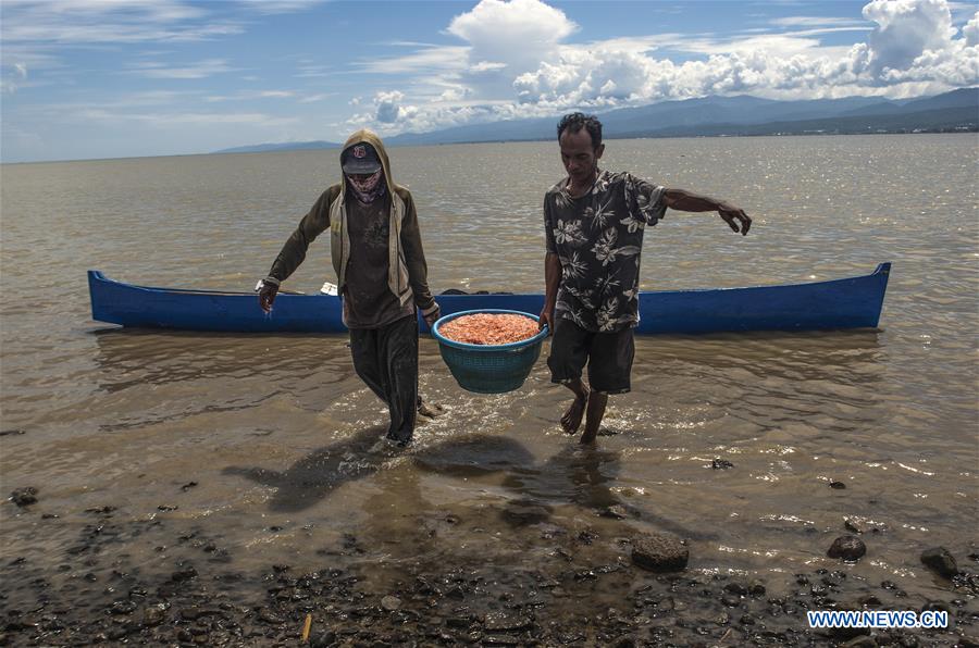 INDONESIA-PALU-DRIED SHRIMP-DAILY LIFE