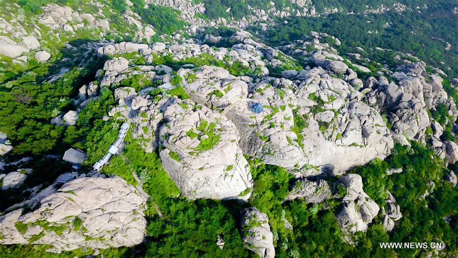 (EcoChina)CHINA-BEIJING-HORTICULTURAL EXPO-SHANDONG (CN)