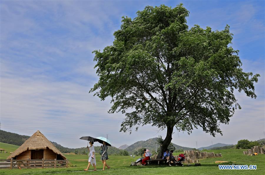 CHINA-DALIAN-PASTURELAND (CN)