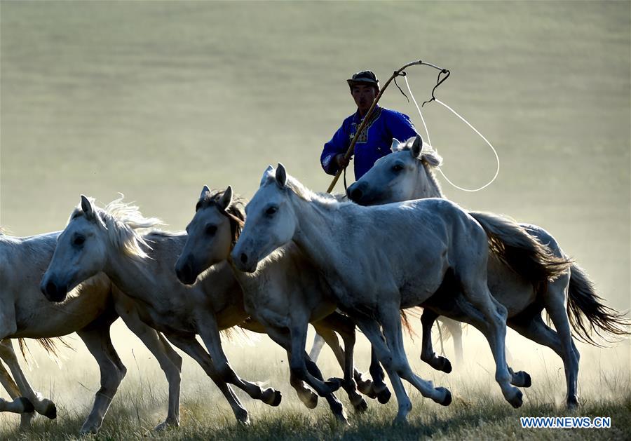 CHINA-INNER MONGOLIA-HORSE LASSOING (CN)