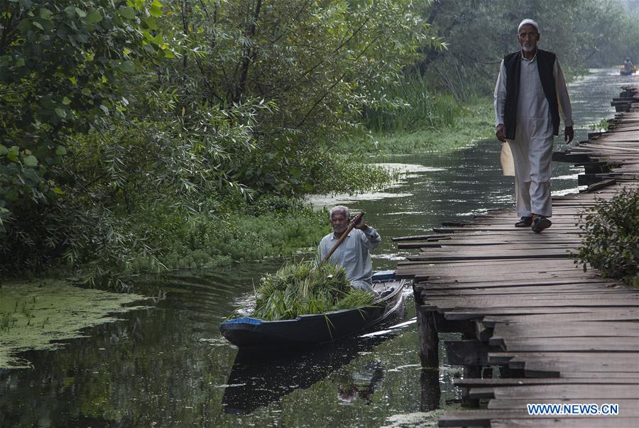 KASHMIR-SRINAGAR-DAILY LIFE