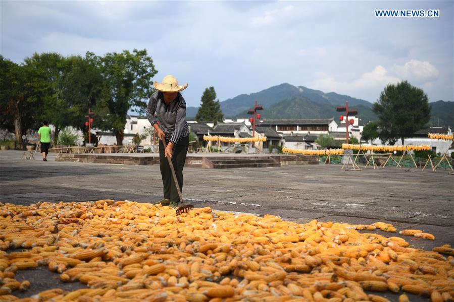 CHINA-ANHUI-HUANGSHAN-AIRING CORNS (CN)