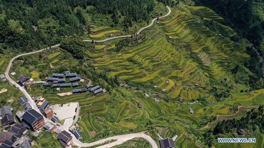 CHINA-GUANGXI-RONGSHUI-AUTUMN SCENERY(CN)