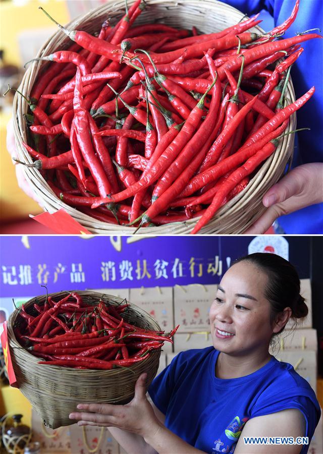 CHINA-GUANGXI-DU'AN-AGRICULTURAL PRODUCT-TRADE FAIR (CN)