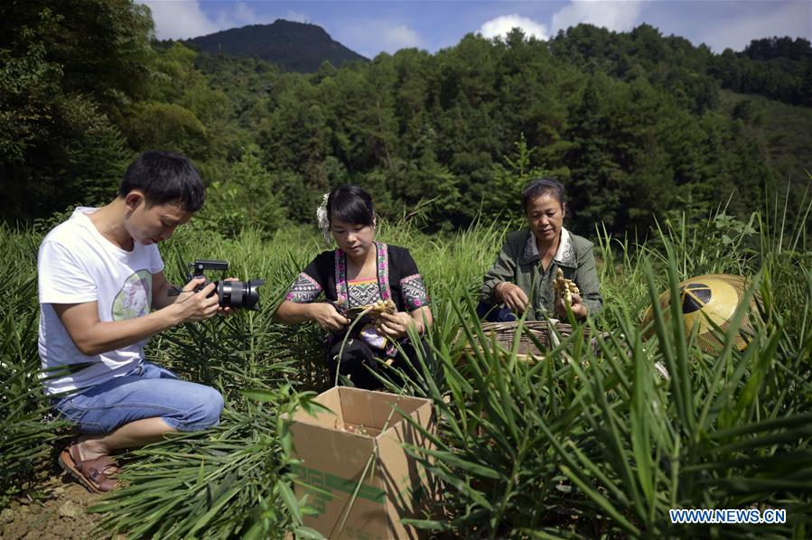 CHINA-HUNAN-MOBILE INTERNET-AGRICULTURE (CN)