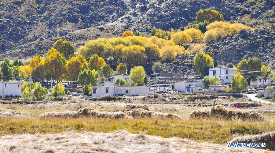 CHINA-TIBET-AUTUMN SCENERY (CN)