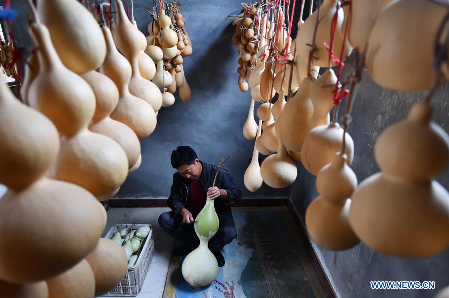 CHINA-SHANDONG-GOURD-PYROGRAPHY (CN)