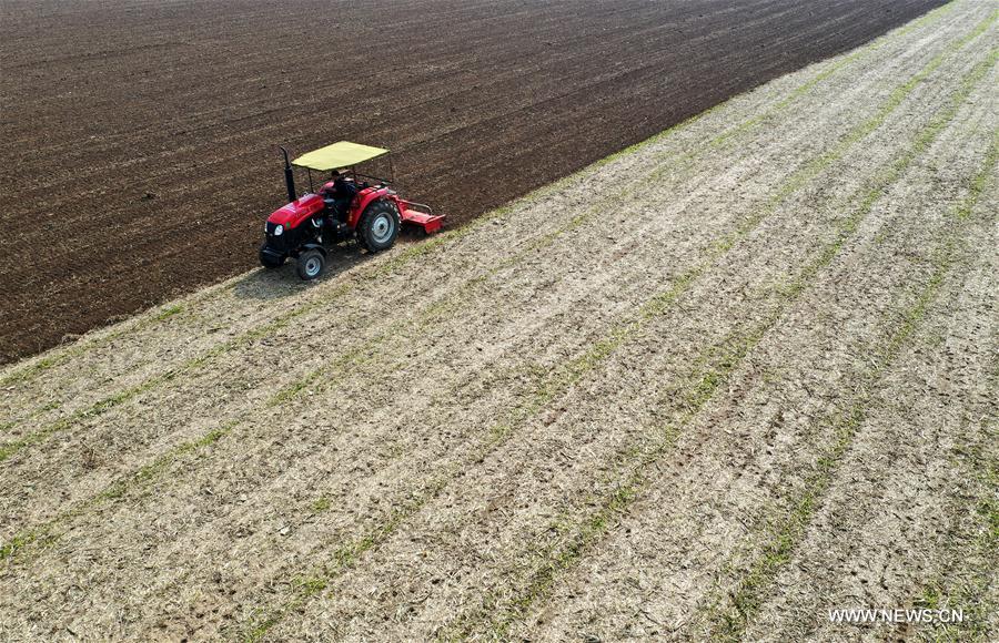 CHINA-HENAN-BAOFENG-FARMING (CN)