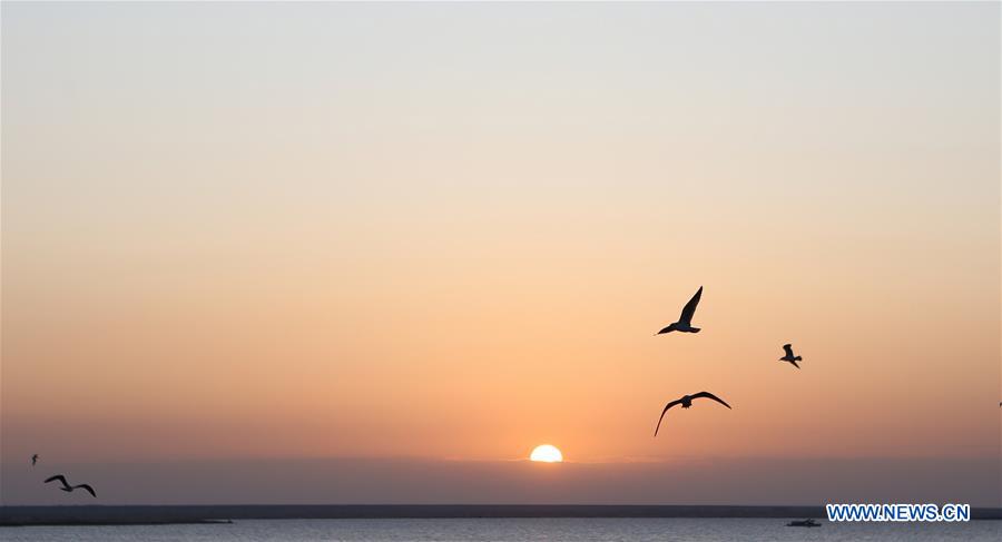 CHINA-INNER MONGOLIA-JUYANHAI LAKE-SCENERY (CN)