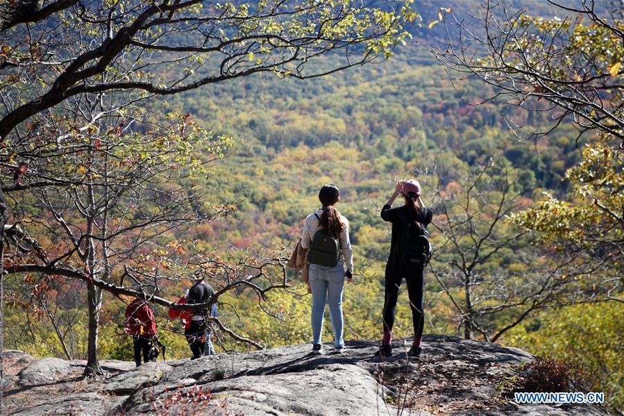 U.S.-NEW YORK-AUTUMN SCENERY