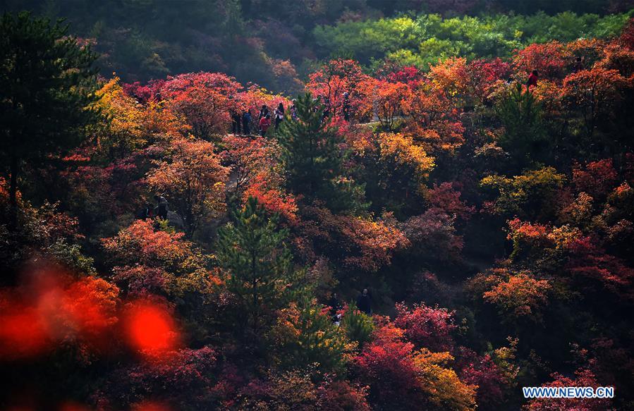 CHINA-HEBEI-JINGXING-XIANTAI MOUNTAIN-SCENERY (CN)