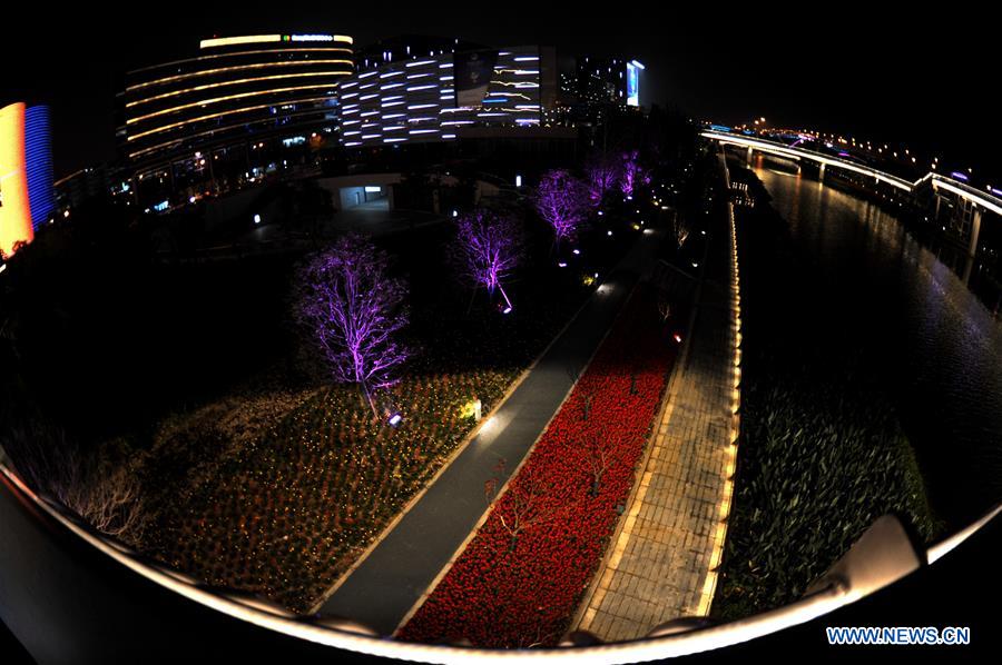 CHINA-SHANGHAI-CIIE-NIGHT VIEW (CN)