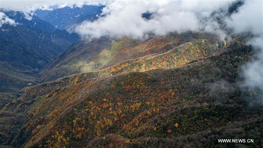 CHINA-HUBEI-SHENNONGJIA-AUTUMN SCENERY (CN)