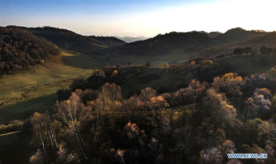 CHINA-SHAANXI-AUTUMN-PASTURE-SCENERY (CN)