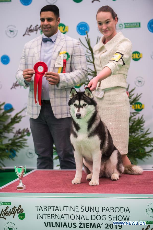 LITHUANIA-VILNIUS-DOG SHOW