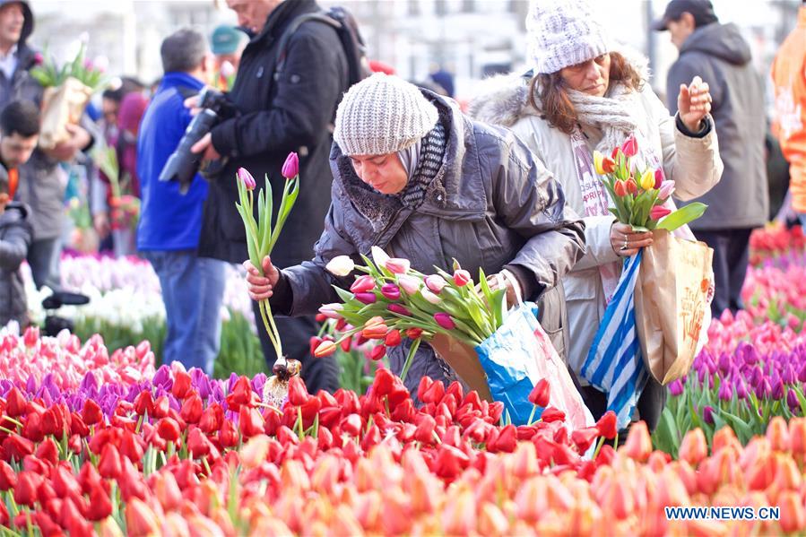 THE NETHERLANDS-AMSTERDAM-NATIONAL TULIP DAY