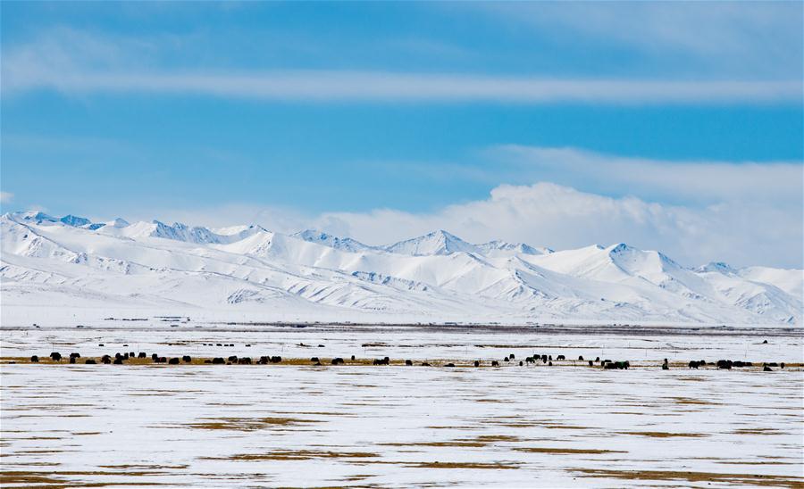 CHINA-TIBET-SNOW SCENERY (CN)