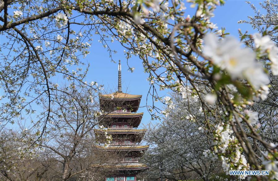 CHINA-HUBEI-WUHAN-SPRING SCENERY (CN)