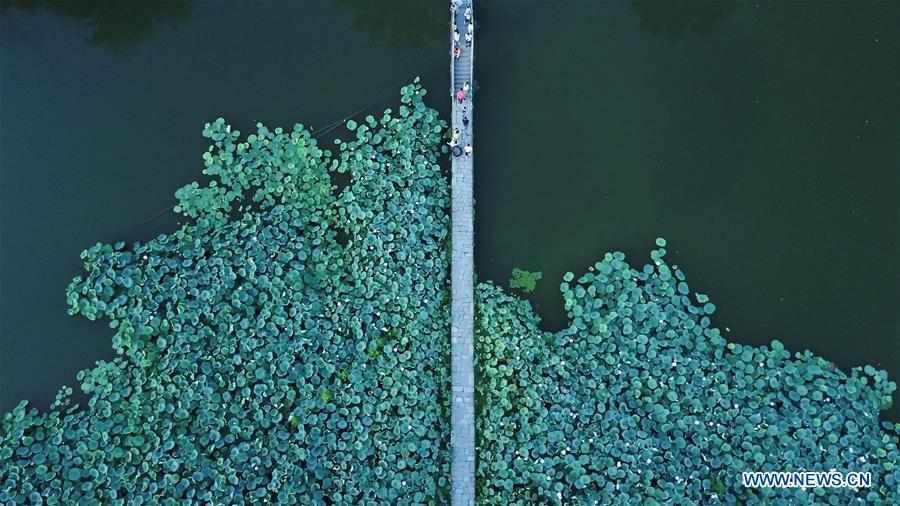 CHINA-ANHUI-YIXIAN-SUMMER SCENERY (CN)