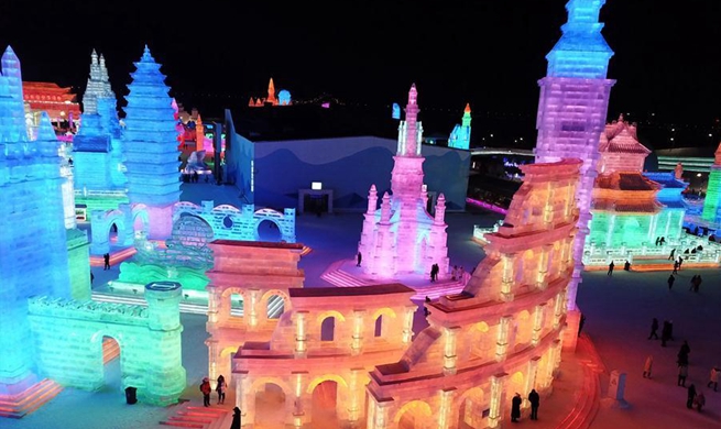 In pics: Harbin Ice-Snow World in NE China's Heilongjiang