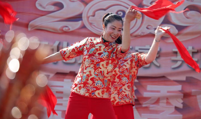 Volunteers bring performances, spring festival scrolls to villages in China's Shandong