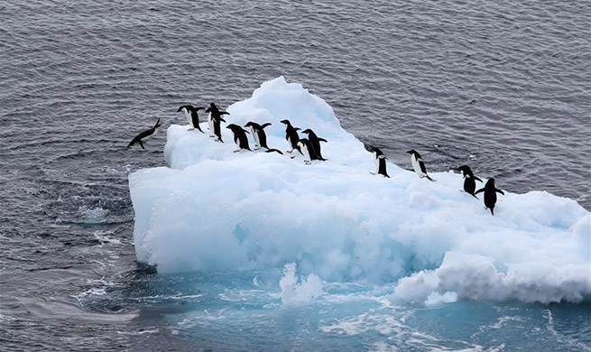 Xinhua photos of the day