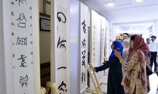 China-Pakistan Joint Painting and Calligraphy Exhibition held in Islamabad