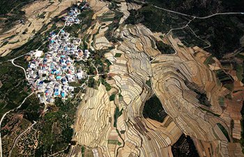 Aerial view of terraced watermelon fields in S China's Guangxi