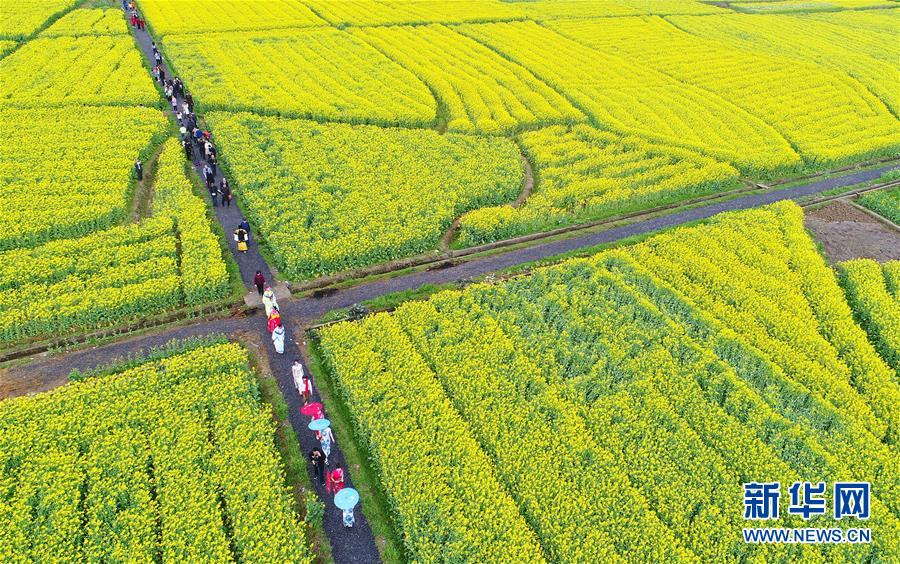 #（生態(tài)）（1）花開春意濃