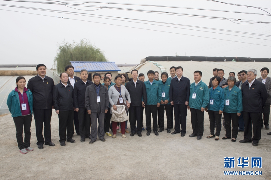 10月22日至23日，中共中央政治局常委、國務院副總理張高麗在山東調(diào)研扶貧工作情況。這是10月23日，張高麗在菏澤市定陶縣杜堂鎮(zhèn)轆灣村中遠蔬菜專業(yè)合作社調(diào)研時與當?shù)夭宿r(nóng)合影。 新華社記者 王曄 攝