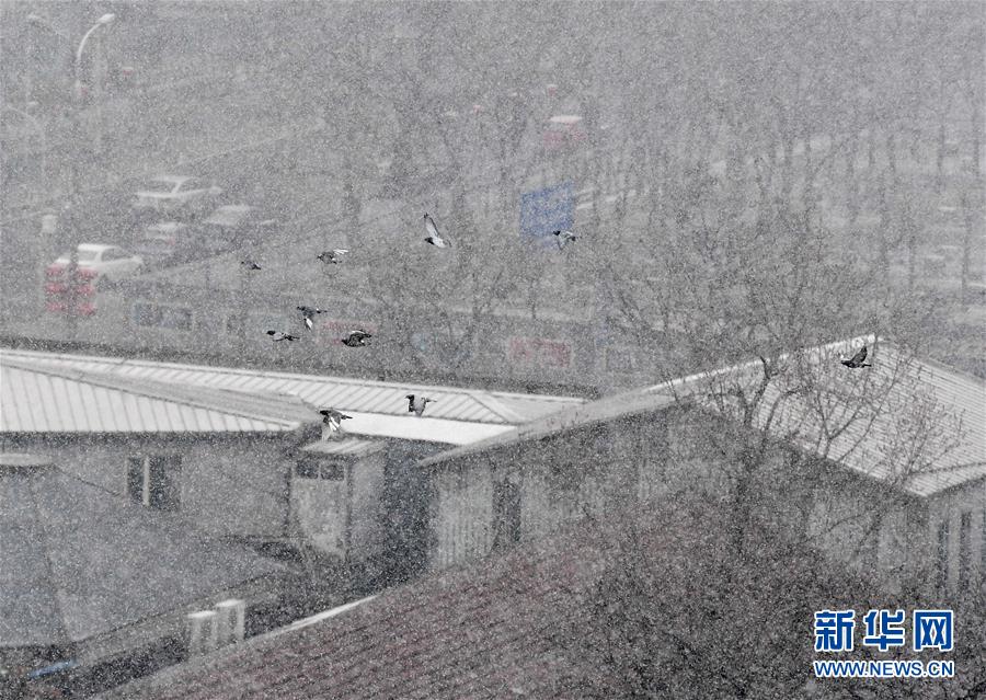 （環(huán)境）（8）北京迎來春雪