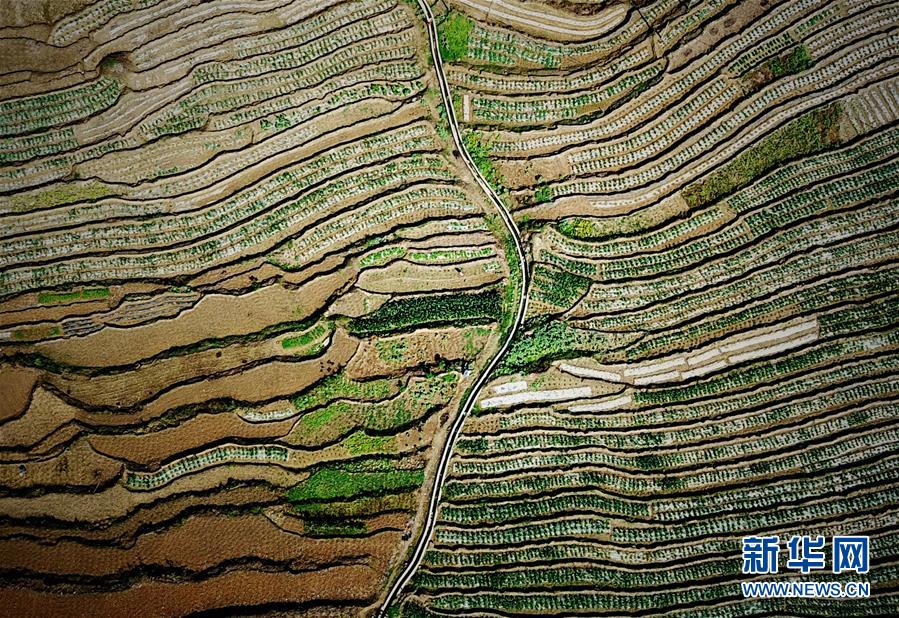 （春季美麗生態(tài)）（1）飛閱邊關(guān)山田春景