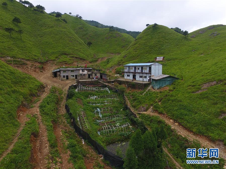 （新華全媒頭條·圖文互動）（3）一個人，一座山——劉真茂的生命守望