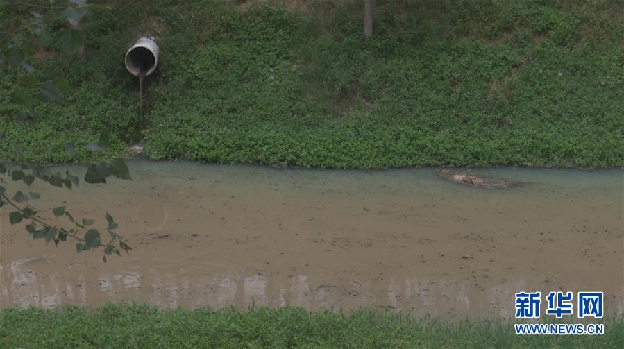 （新華視點(diǎn)·圖文互動(dòng)）（4）上游洪水來(lái)襲下游魚蟹死亡，泄洪為何變泄污？