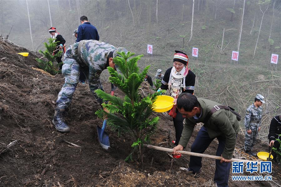 （圖文互動）（6）和平年代，離死神最近的人——南部戰(zhàn)區(qū)陸軍云南掃雷大隊邊境掃雷排爆記事