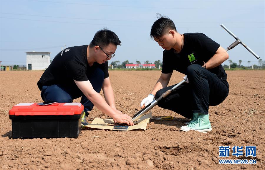 （在習(xí)近平新時(shí)代中國(guó)特色社會(huì)主義思想指引下——新時(shí)代新作為新篇章·總書(shū)記關(guān)心的百姓身邊事·圖文互動(dòng)）（6）“農(nóng)”字頭照樣“大”作為——豐收時(shí)節(jié)看涉農(nóng)高校人才在希望的田野