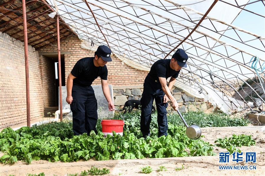 （愛國(guó)情 奮斗者·圖文互動(dòng)）（5）印刻在戈壁上的名字