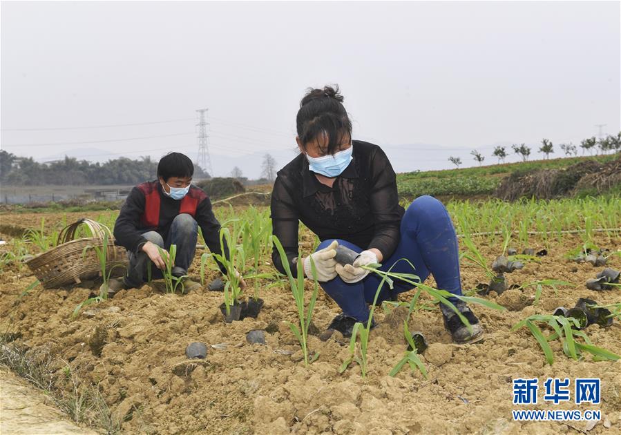 （在習(xí)近平新時代中國特色社會主義思想指引下——新時代新作為新篇章·習(xí)近平總書記關(guān)切事·圖文互動）（5）為農(nóng)田注入硬核生產(chǎn)力——一些地方春耕中農(nóng)業(yè)科技創(chuàng)新掃描