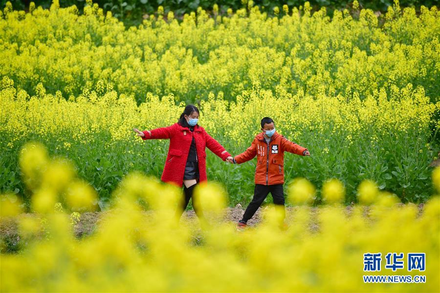 （決戰(zhàn)決勝脫貧攻堅·圖文互動）（4）特寫：疫情下的一堂特殊送教上門課