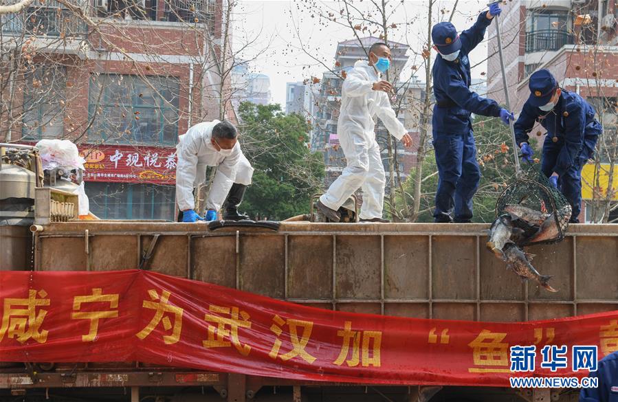 （新華全媒頭條·圖文互動）（12）從人民中汲取磅礴力量——習近平總書記同出席2020年全國兩會人大代表、政協(xié)委員共商國是紀實