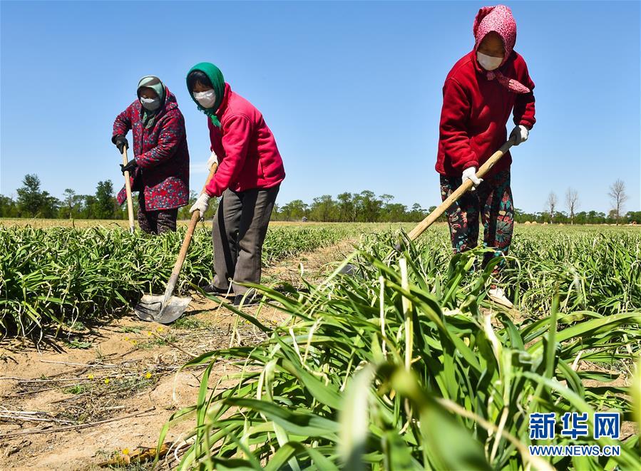 （新華全媒頭條·圖文互動）（17）從人民中汲取磅礴力量——習近平總書記同出席2020年全國兩會人大代表、政協(xié)委員共商國是紀實