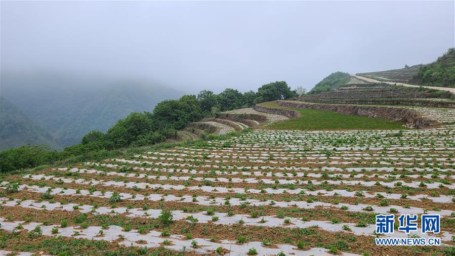 （決戰(zhàn)決勝脫貧攻堅(jiān)·圖文互動(dòng)）（3）喚醒“沉睡的大山”——“經(jīng)營鄉(xiāng)村”讓烏蒙山極貧鄉(xiāng)變了“模樣”